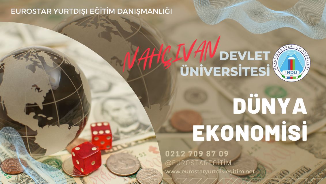 Nahçıvan Devlet Üniversitesi - dünya ekonomisi